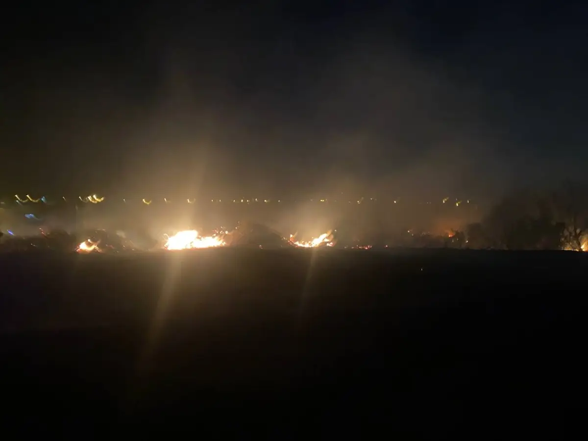 Antalya Serik'te makilik yangını zeytinliğe sıçradı