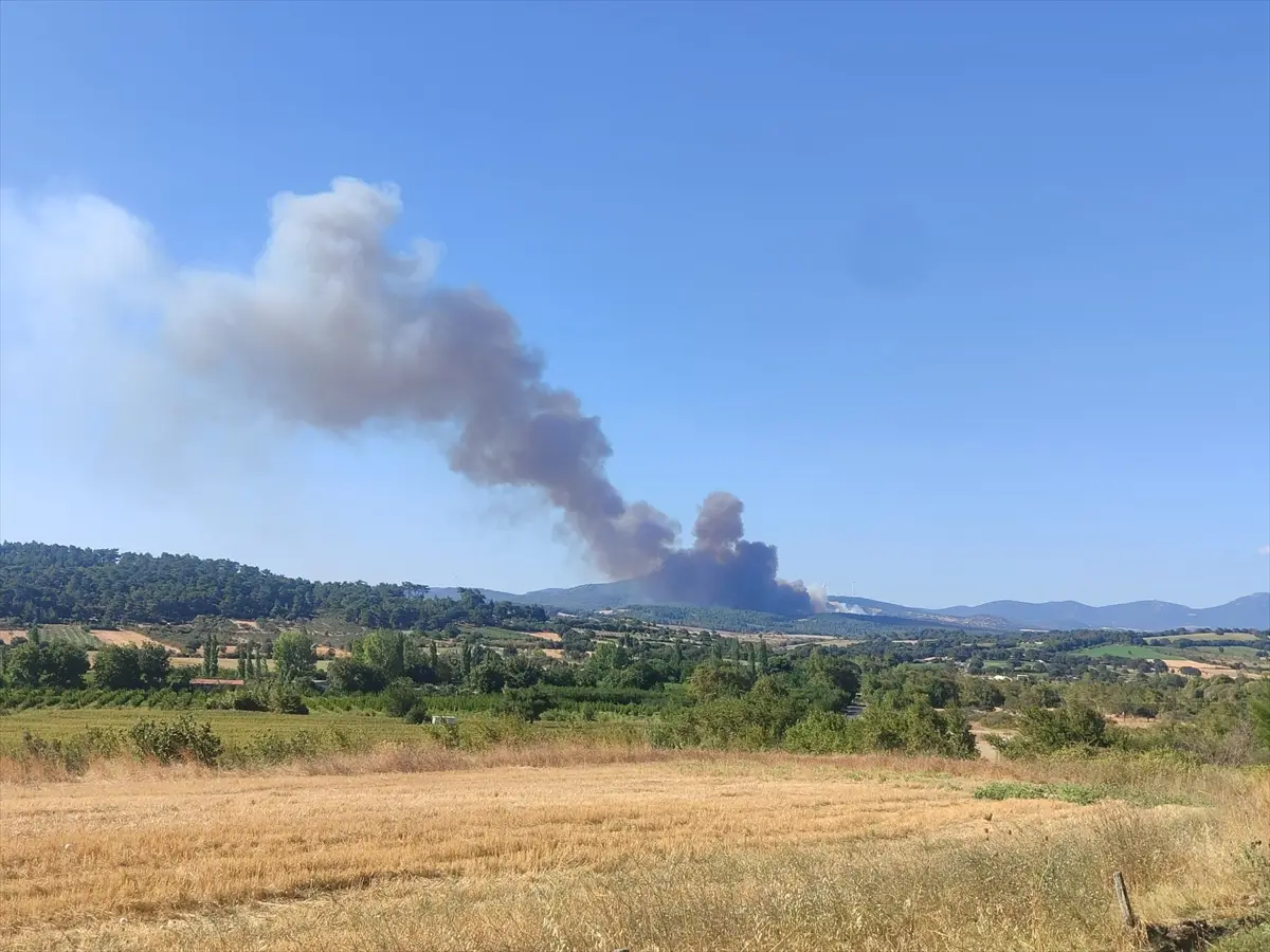 Çanakkale Bayramiç'teki orman yangını kontrol altında