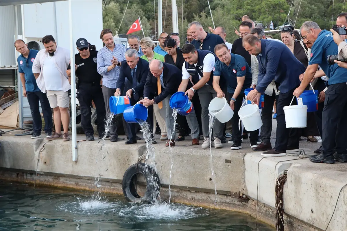 Bodrum'da Su Ürünleri Av Sezonu Açıldı: 750 Milyon Dolar Gelir