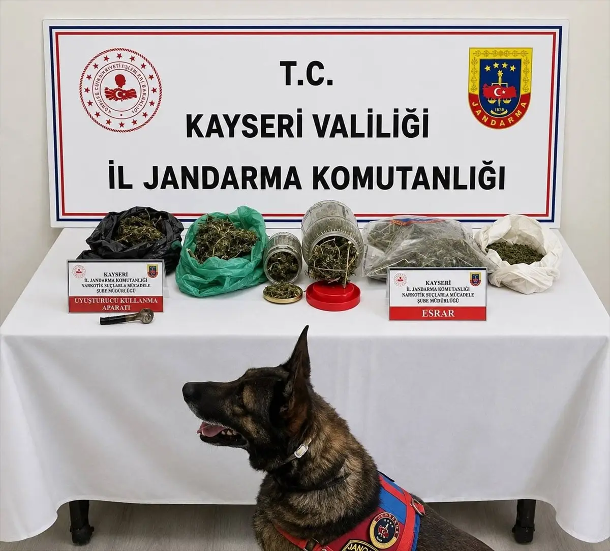 Kayseri'de uyuşturucu operasyonu: 1.2 kg esrar yakalandı
