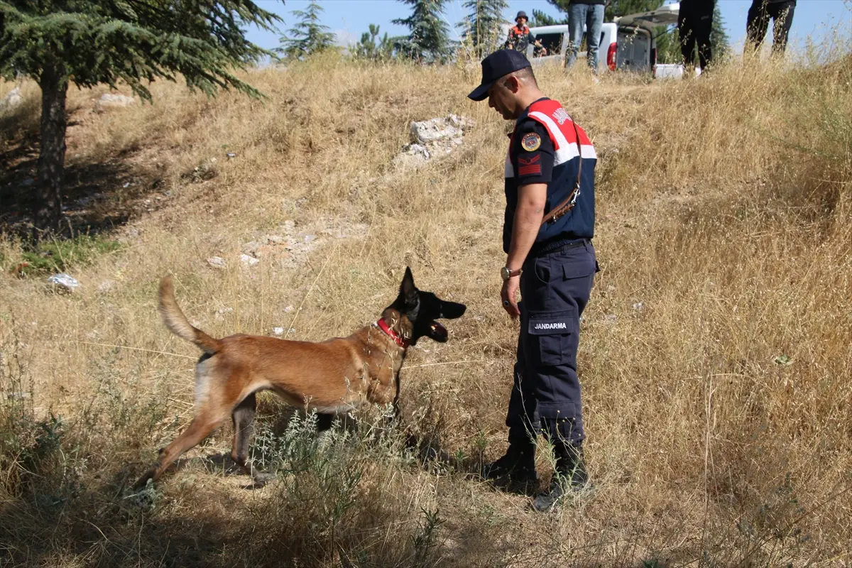 Kayıp Halil Göz: Kütahya'da arama çalışmaları sürüyor