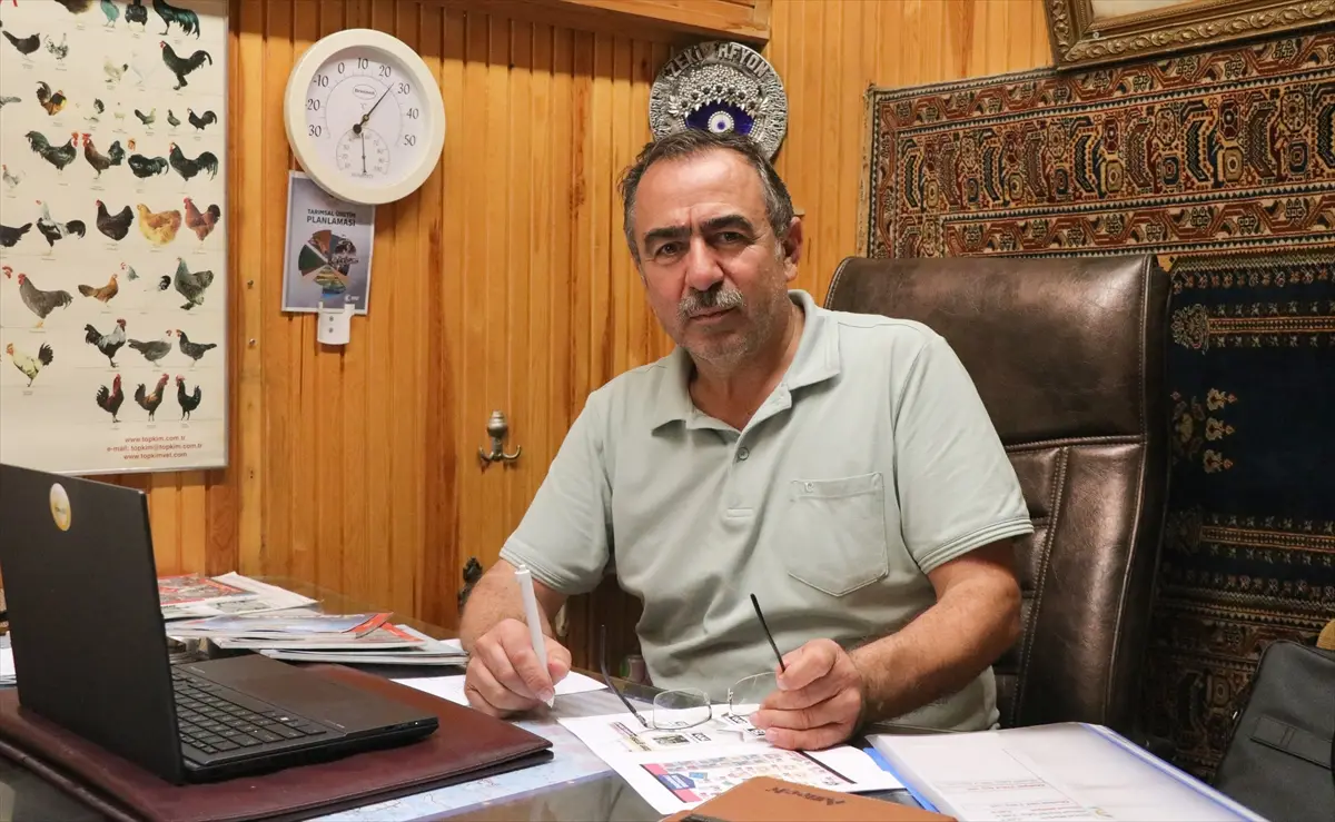 YUM-BİR Başkanı Afyon: Yumurtada olağanüstü artış yok