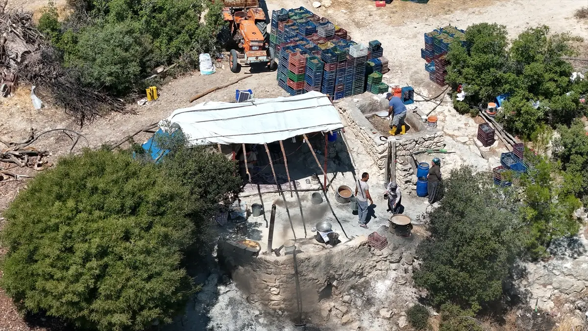 Mersin Mut'ta Üzümler Geleneksel Yöntemle Pekmeze Dönüşüyor