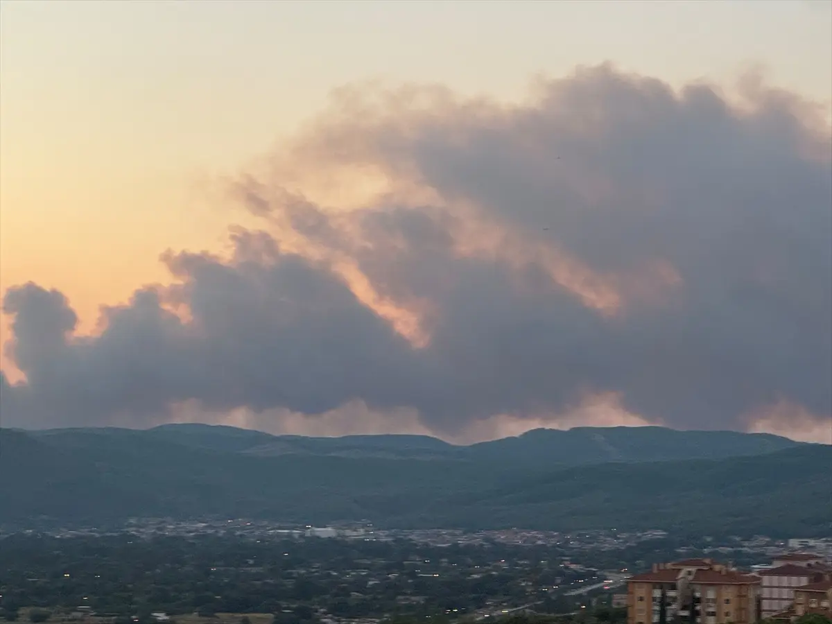 Muğla'da çıkan orman yangınına müdahale ediliyor