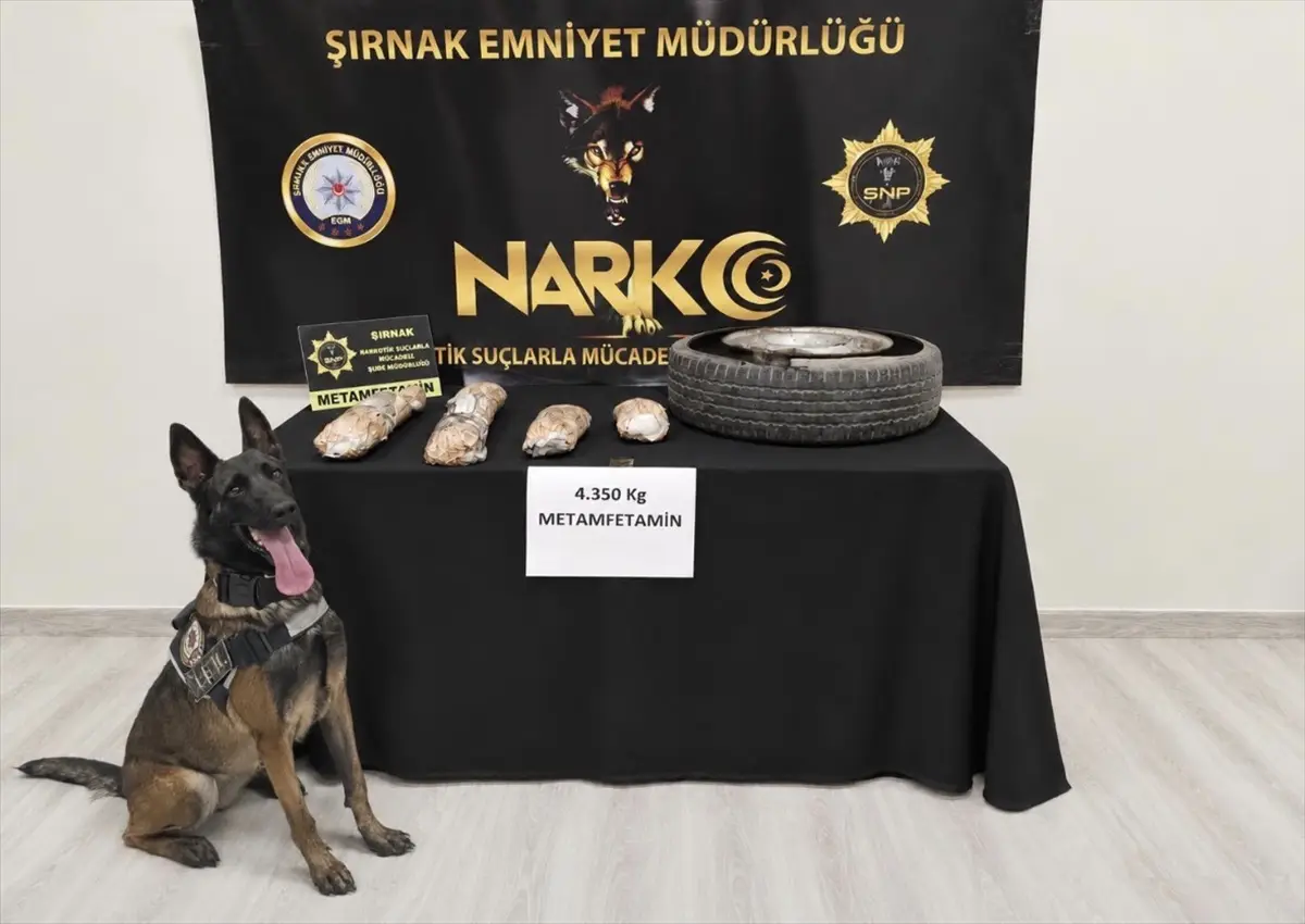 Şırnak Cizre'de 4.35 kg sentetik uyuşturucu ele geçirildi