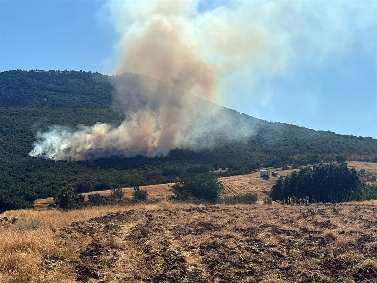 Eskişehir'de orman yangını: Havadan ve karadan müdahale