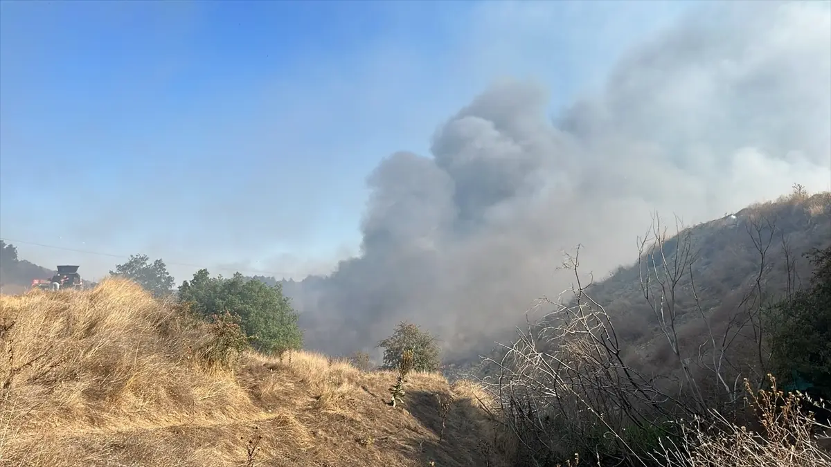 Bilecik Bozüyük'te çöplük yangını ormana sıçradı