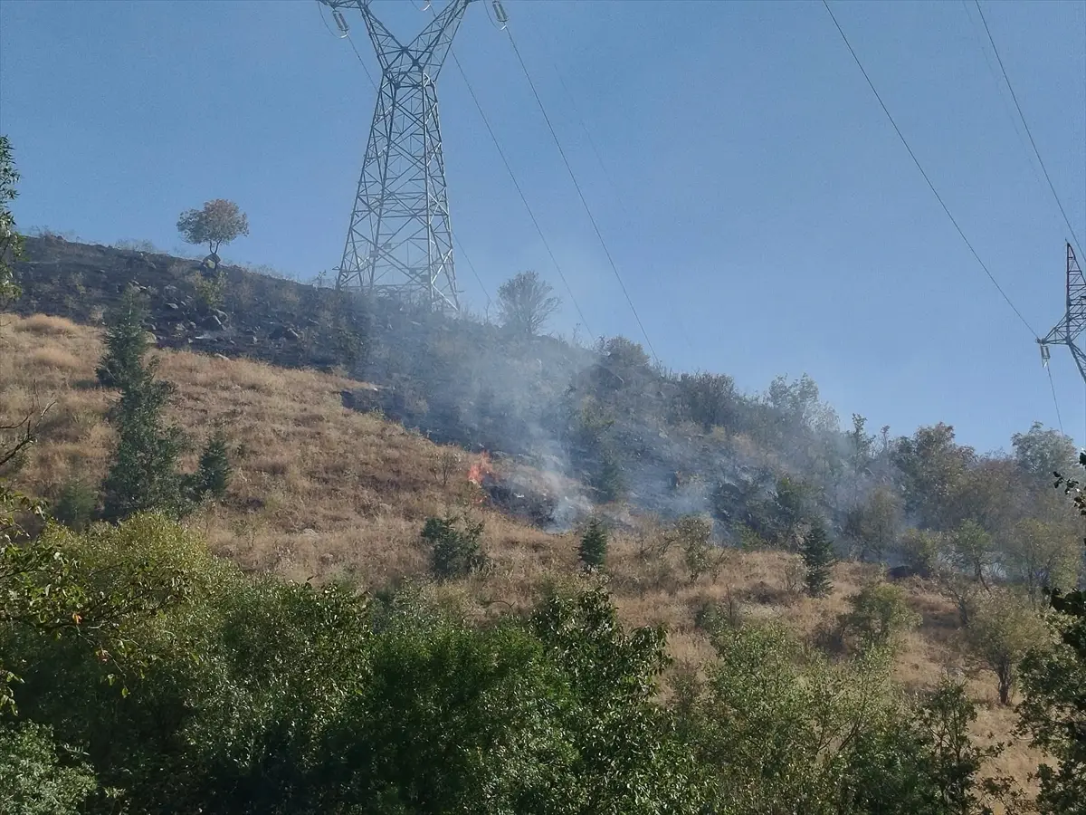 Çankırı'da arazi yangını: 650 dekar alan zarar gördü