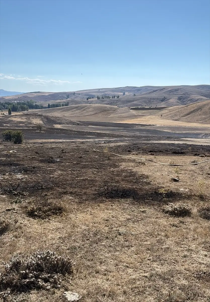Tokat'ta anız yangını: 20 dönüm tarım arazisi kül oldu