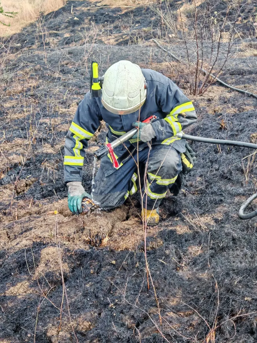 Yalova'da Arazi Yangını: İtfaiye 11 Kaplumbağayı Kurtardı