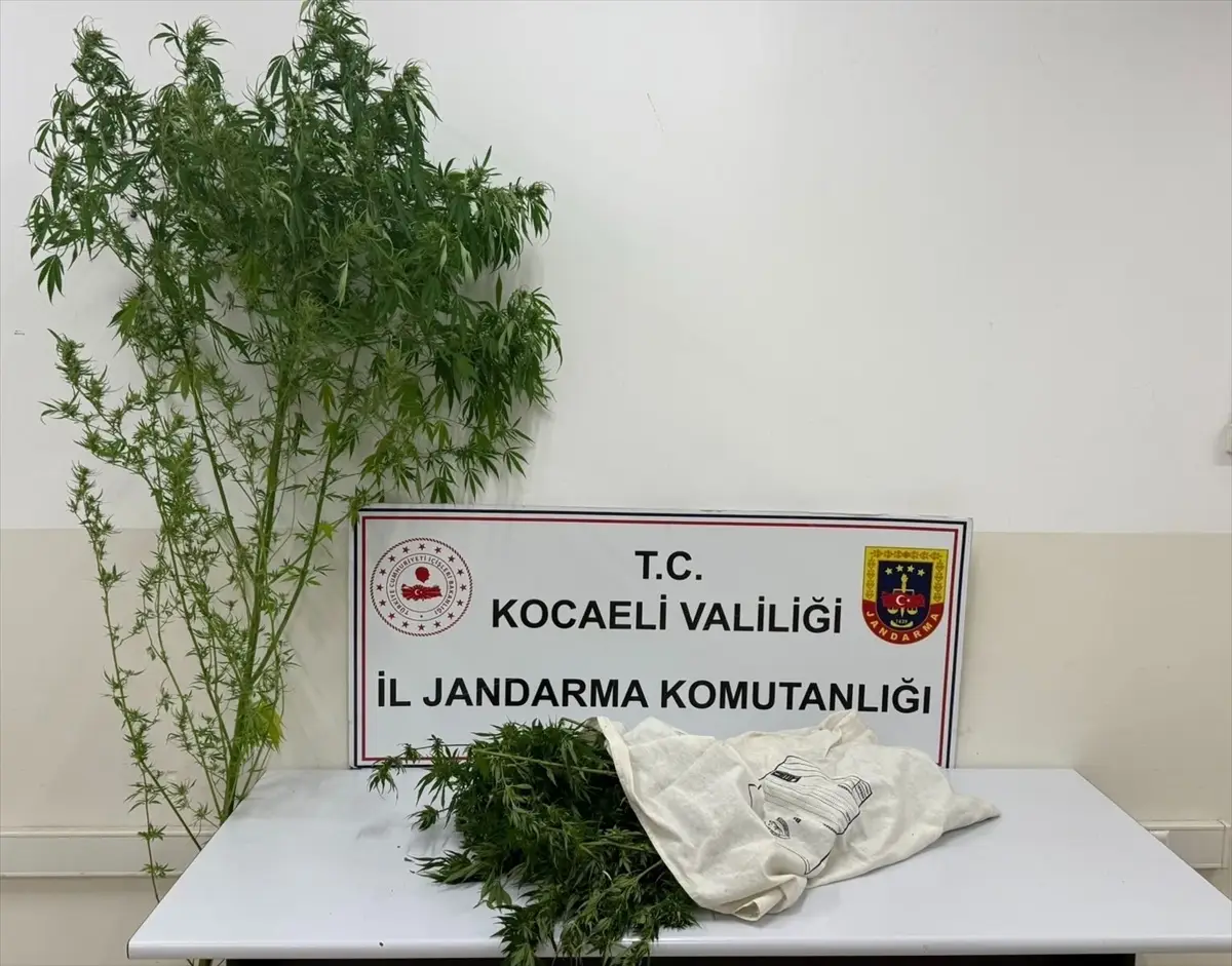 Kocaeli'de uyuşturucu operasyonu: Bir şüpheli tutuklandı