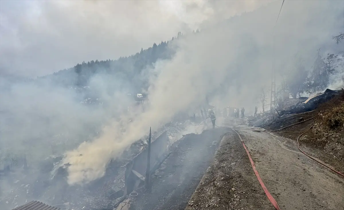 Kastamonu'da köyde çıkan yangın kontrol altına alındı