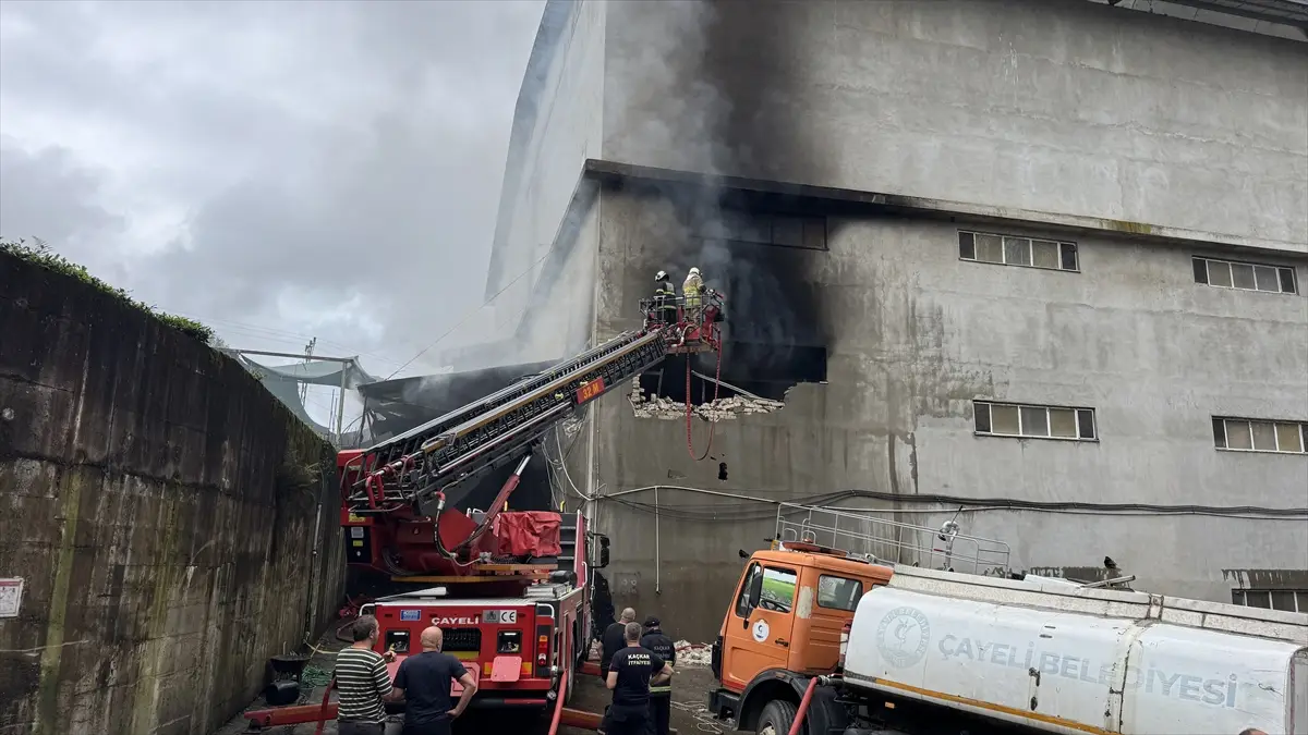 Rize'de çay fabrikası deposunda çıkan yangın söndürüldü
