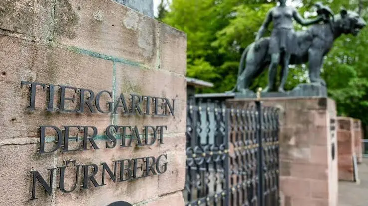 Nürnberg’de çocukların hayvan sevgisi sanatla buluşuyor