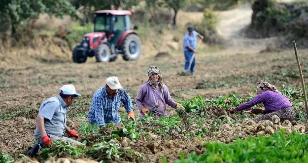 Nüfusun yüzde 8'i köyde yaşıyor