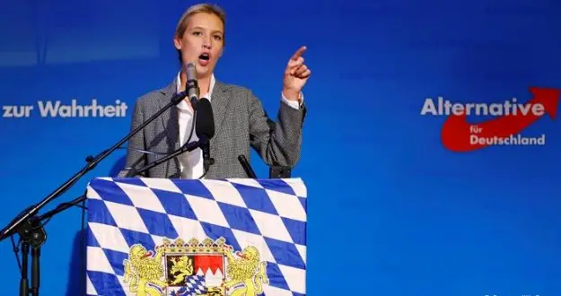 AfD'de bağış skandalı büyüyor