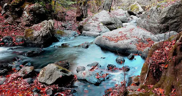 Yalova'da sonbahar güzelliği