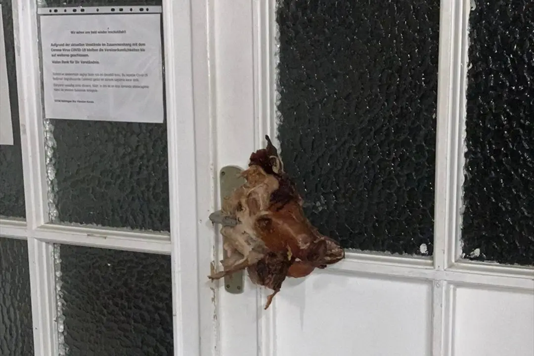 Cami kapısına domuz kafası asıldı