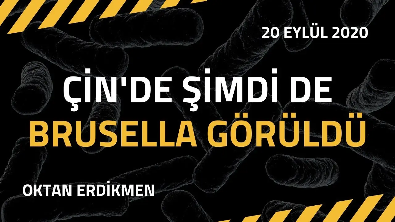 Çin'de yeni bir enfeksiyon görüldü