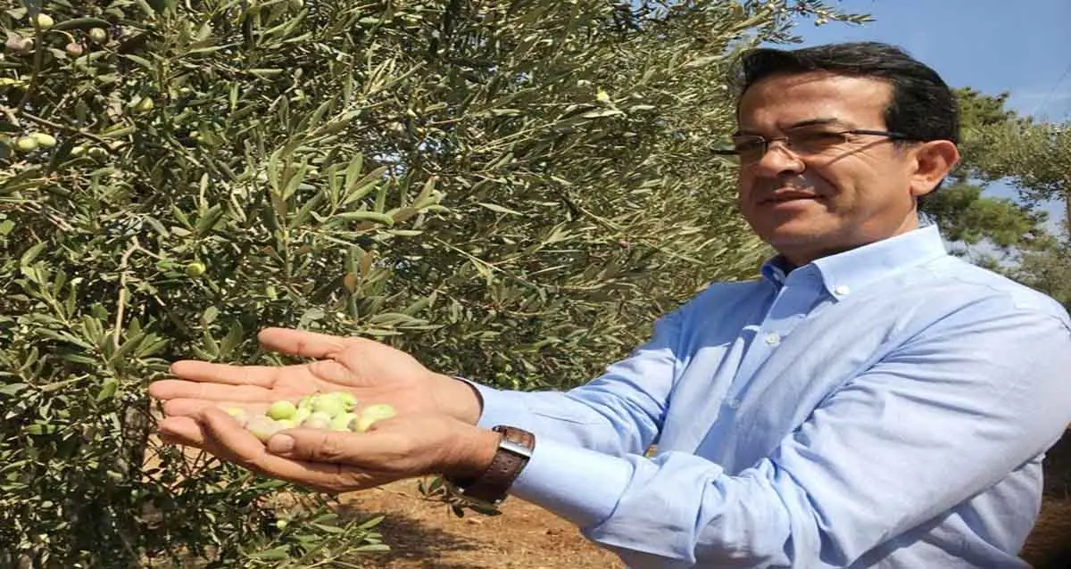 Zeytin ve zeytinyağı üretiyor ama tüketmiyoruz