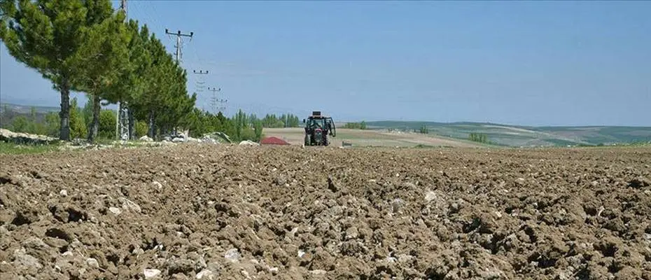 Kamu taşınmazları yatırımcıların hizmetine sunuluyor