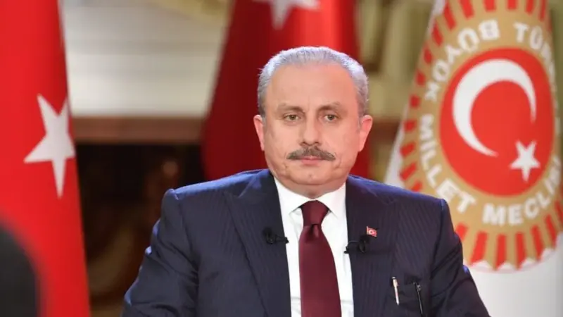 Şentop’un “Erdoğan’ın Yetkisi Var” Görüşü Tartışılıyor