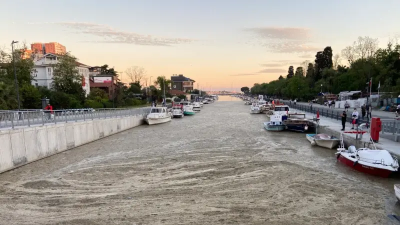 7 Soruda Deniz Salyası Felaketi: ‘‘Marmara Ölüyor’’