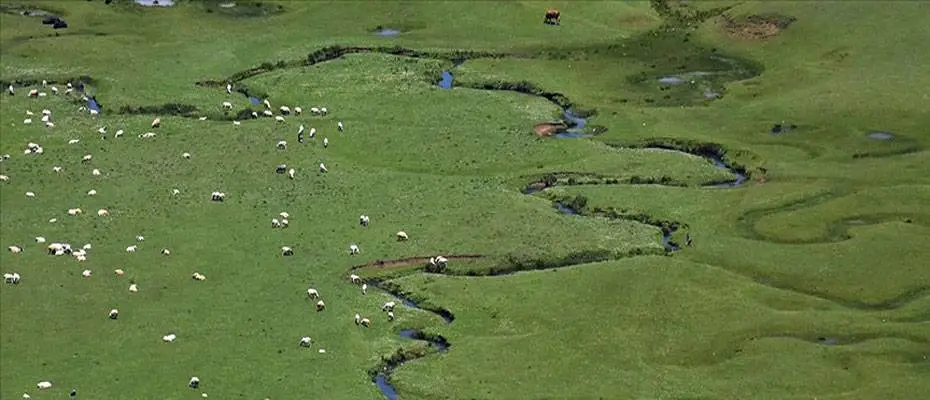 Karadeniz'in menderesleriyle ünlü Perşembe Yaylası doğaseverleri ağırlıyor