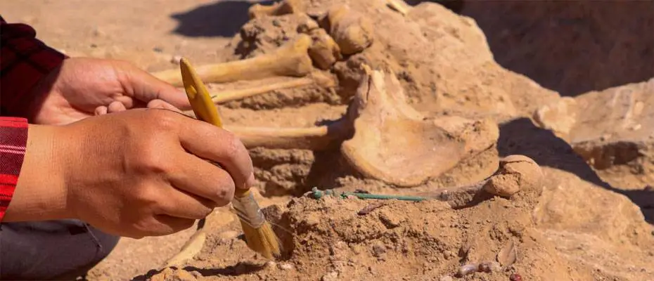 Çavuştepe Kalesi'nde takıları ve iki mührüyle gömülen kadın yöneticinin mezarı ortaya çıkarıldı