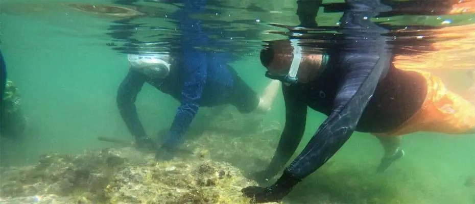Yalova'daki su altı kazıları tarihe ışık tutacak