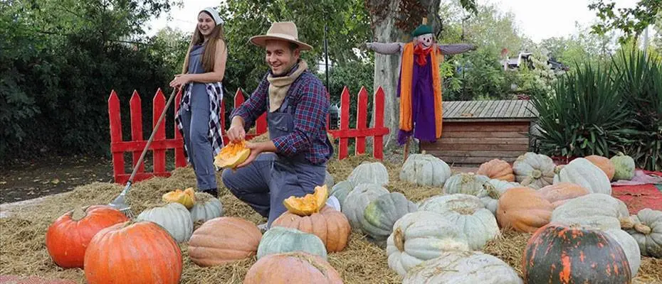 Edirne Karaağaç Festivali'ne son günde de katılımcı sayısı fazla oldu