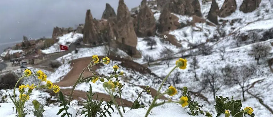 Kapadokya'da çiçekler kar altında kaldı