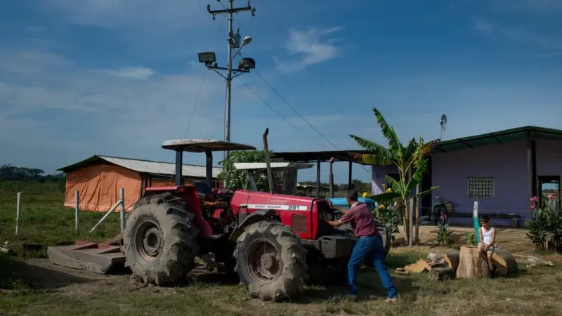 Venezuela'da Gıda Üretimi Kan Kaybediyor