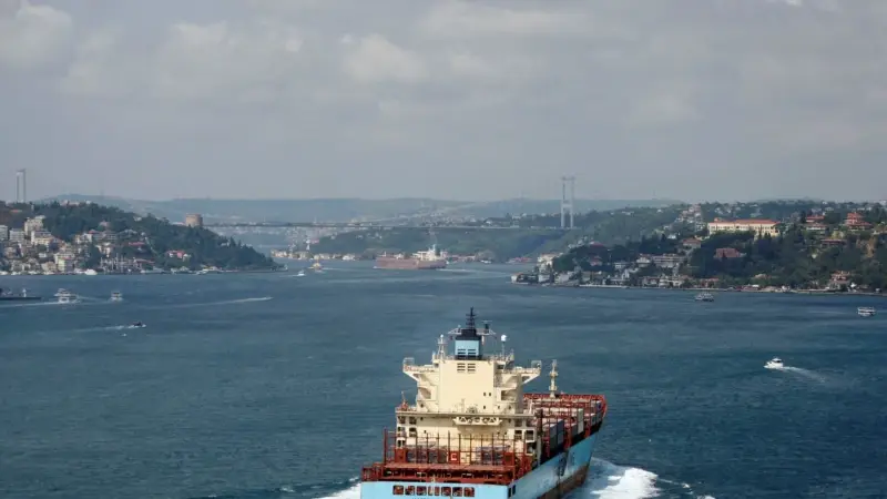 ‘‘Türkiye Tahıl Koridoru İçin Rusya'yla Görüşüyor’’