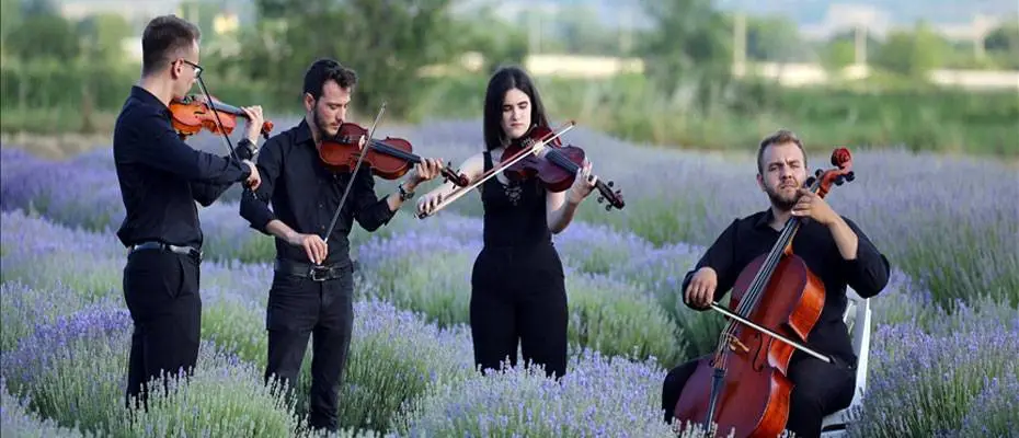 Edirne'nin mor turizmi Lavanta Tarla Günleri sembolik hasatla başladı