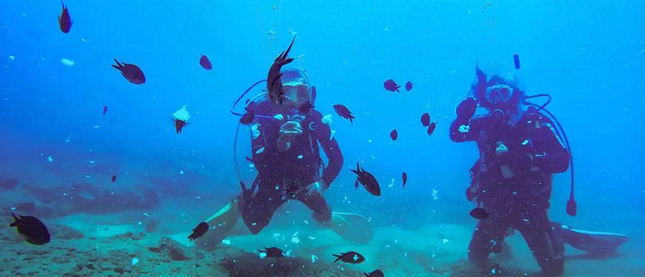 Mersin'in mavi suları dalış turizminde de öne çıkıyor