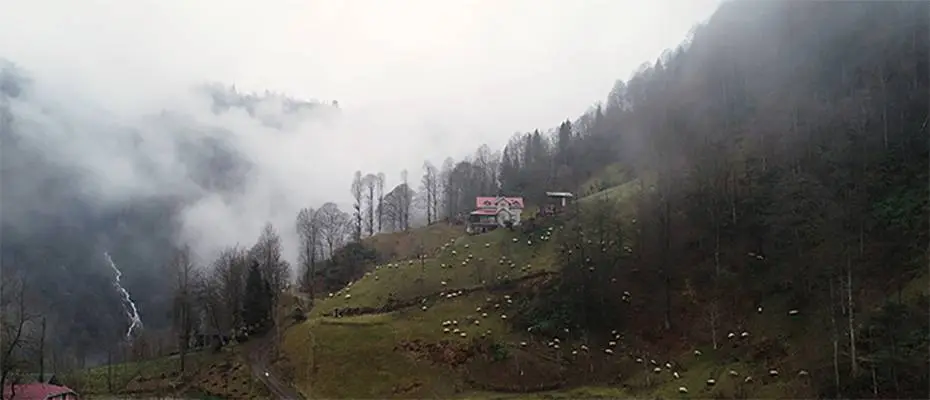 Trabzon'un 'Hıdırnebi Yaylası' sis altındaki güzelliğiyle ziyaretçilerini karşılıyor