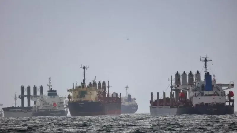 Karadeniz Tahıl Girişimi Genişleyecek mi?