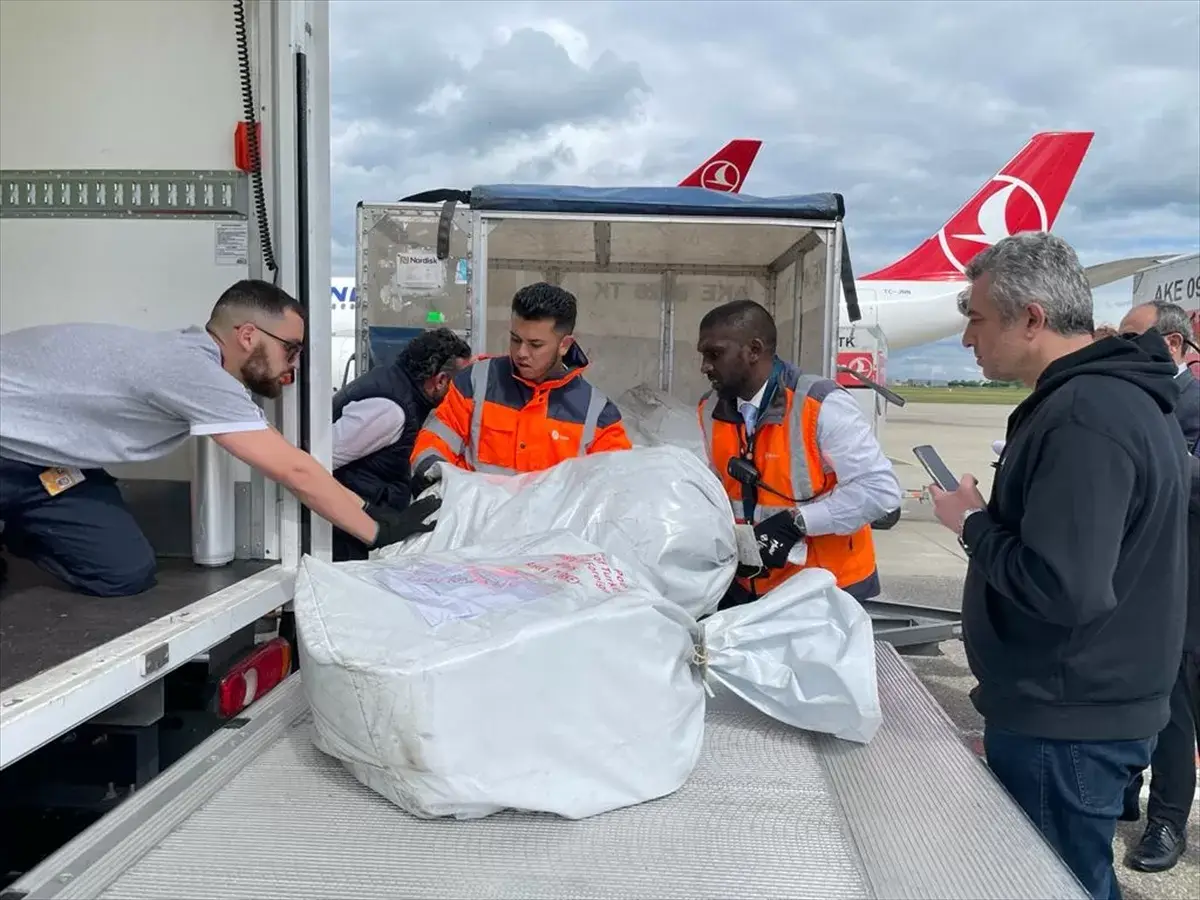 Fransa ve İsviçre'deki oy pusulaları Türkiye'ye gönderildi