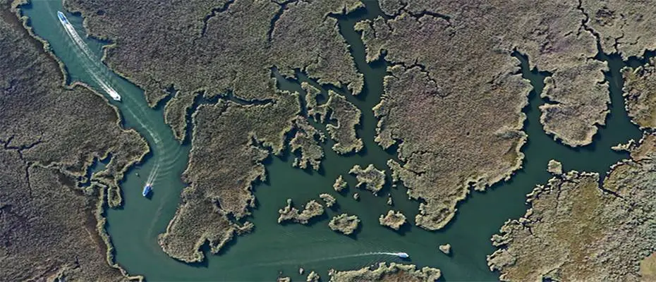 Dalyan Kanalı'nın mavi yengeçleri alternatif lezzet oluşturuyor