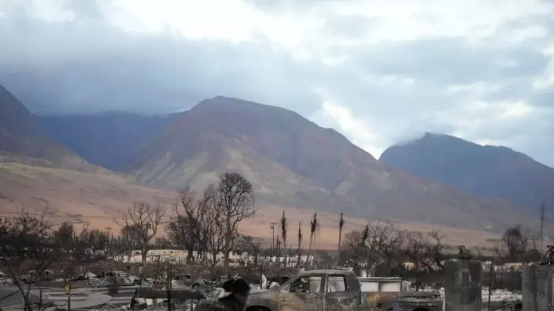 Tropik Hawaii'nin Maui adası neden kuraklık yüzünden yanıyor?