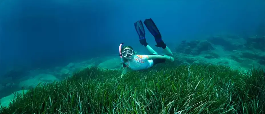 Tarihi ve doğal güzellikleriyle tanınan Alanya dalış turizmiyle de öne çıkıyor