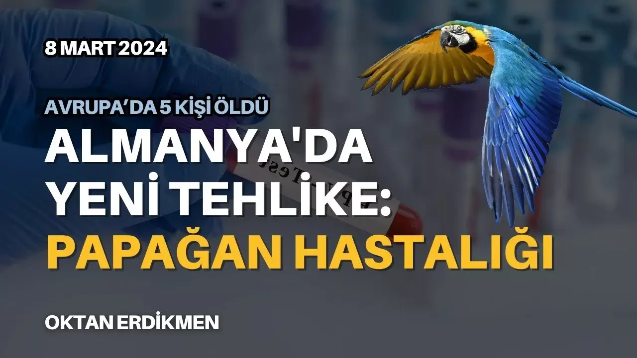 Almanya'da papağan hastalığı ve kene uyarısı