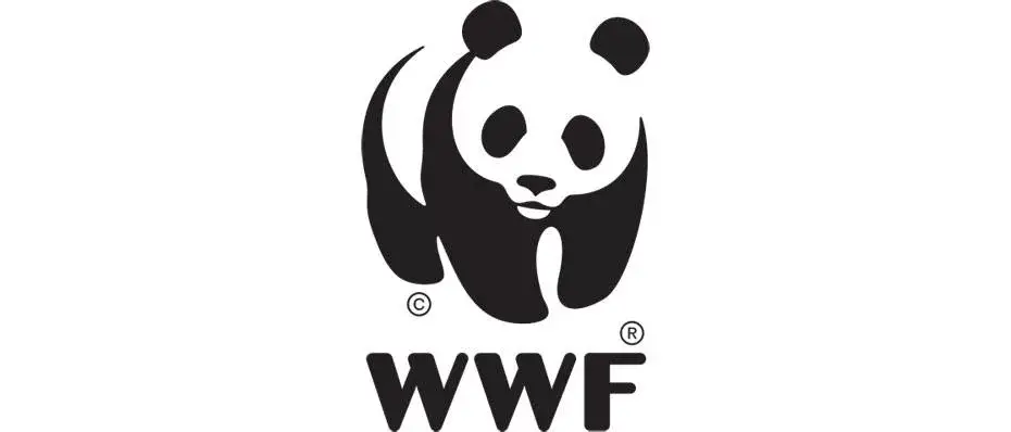 WWF-Türkiye'den iklim dostu kentler için yerel yönetim adaylarına çağrı