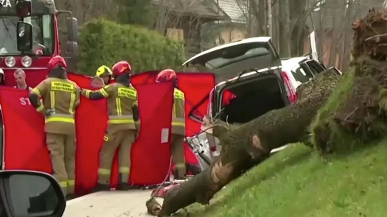 Rüzgarda devrilen ağaçlar 5 kişinin ölümüne yol açtı