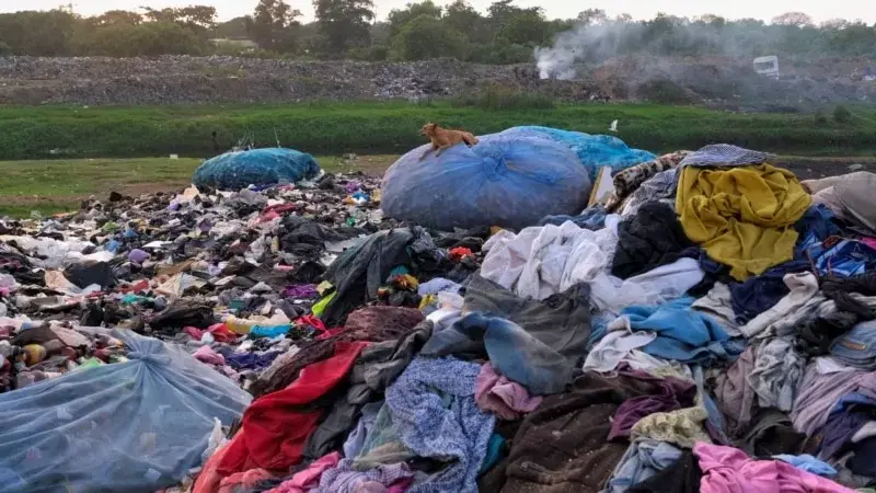 Toprak Ana’nın kontrolsüzce büyüyen düşmanı: Hızlı moda
