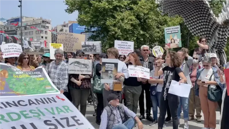 “Hayvanları hedef gösteremezsiniz”