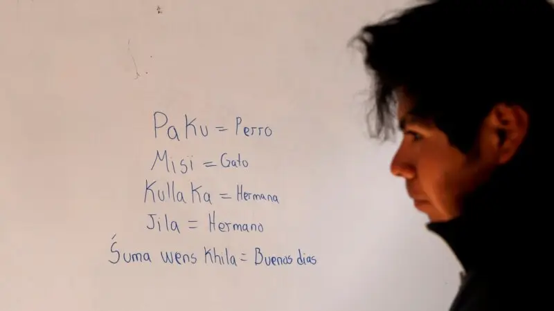 Latin Amerika'da 214 yerel dil yok olma tehlikesiyle karşı karşıya