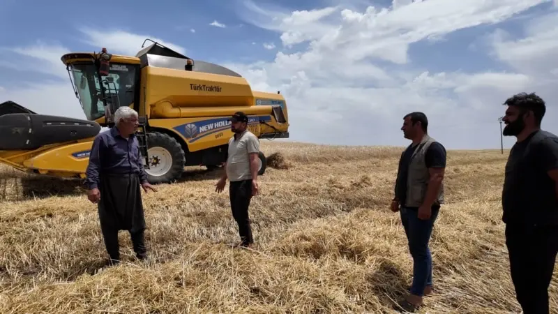 Diyarbakırlı çiftçiler hububat ektikleri için pişman