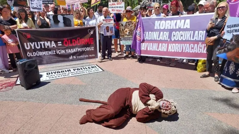 Hayvanseverler sokak hayvanlarının uyutulması tartışmasına karşı eylemde